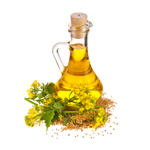 Yellow Mustard Oil-Spl